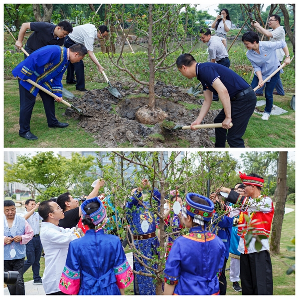 16231342552402275JCm.jpg _15.jpg